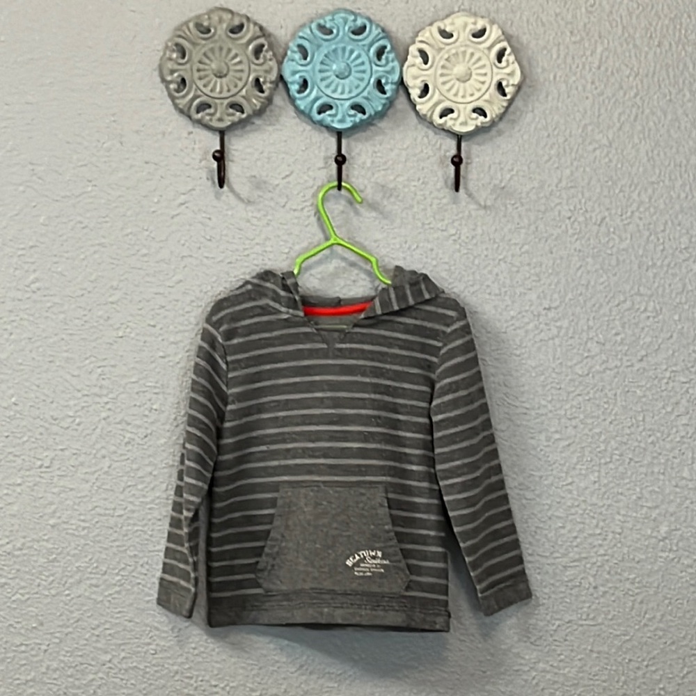 Arizona Toddler Boys 4T Hooded Sweater (Grey)